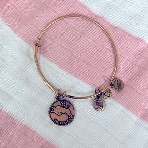 Alex and Ani Taurus bracelet